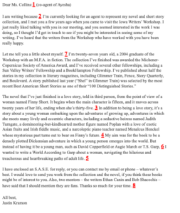 literary agent query letter example