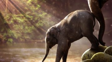 Find Your Brave: Publishing As An Act Of Courage