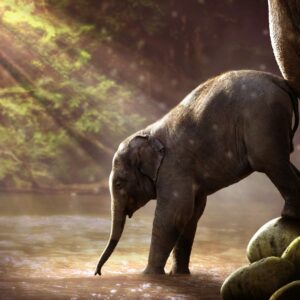 Find Your Brave: Publishing As An Act Of Courage