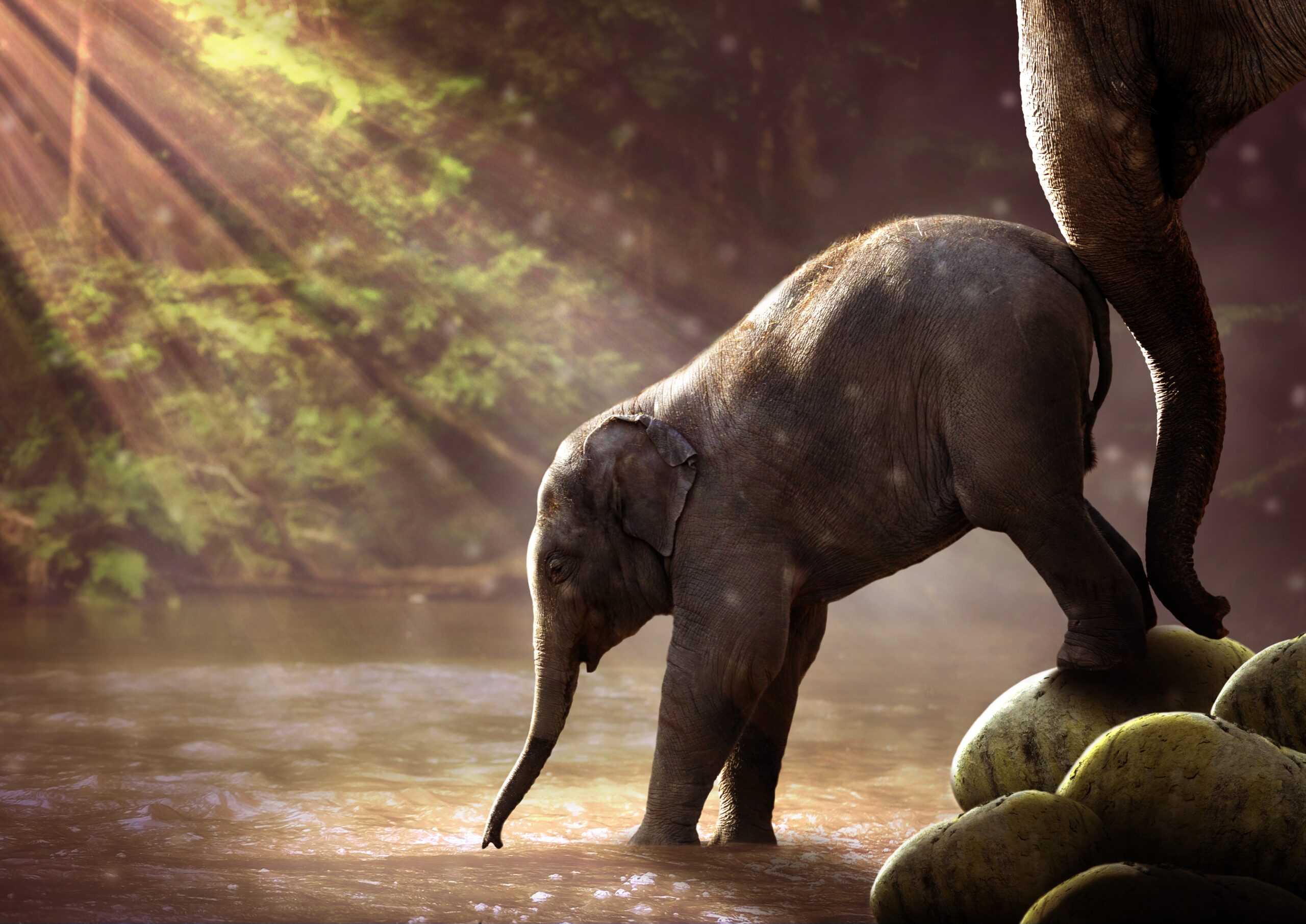 Find Your Brave: Publishing As An Act Of Courage