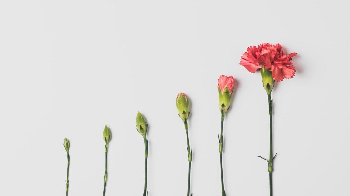 Carnation Red vs Love Red shorts…you probably don't need both : r