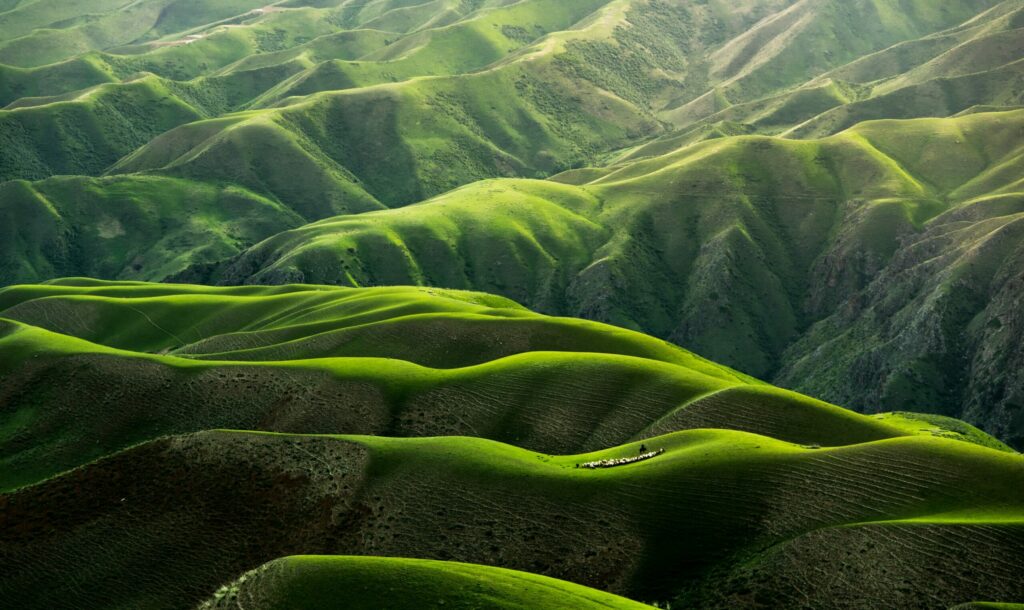 qingbao-meng-01_igFr7hd4-unsplash article writing, blogging, essays