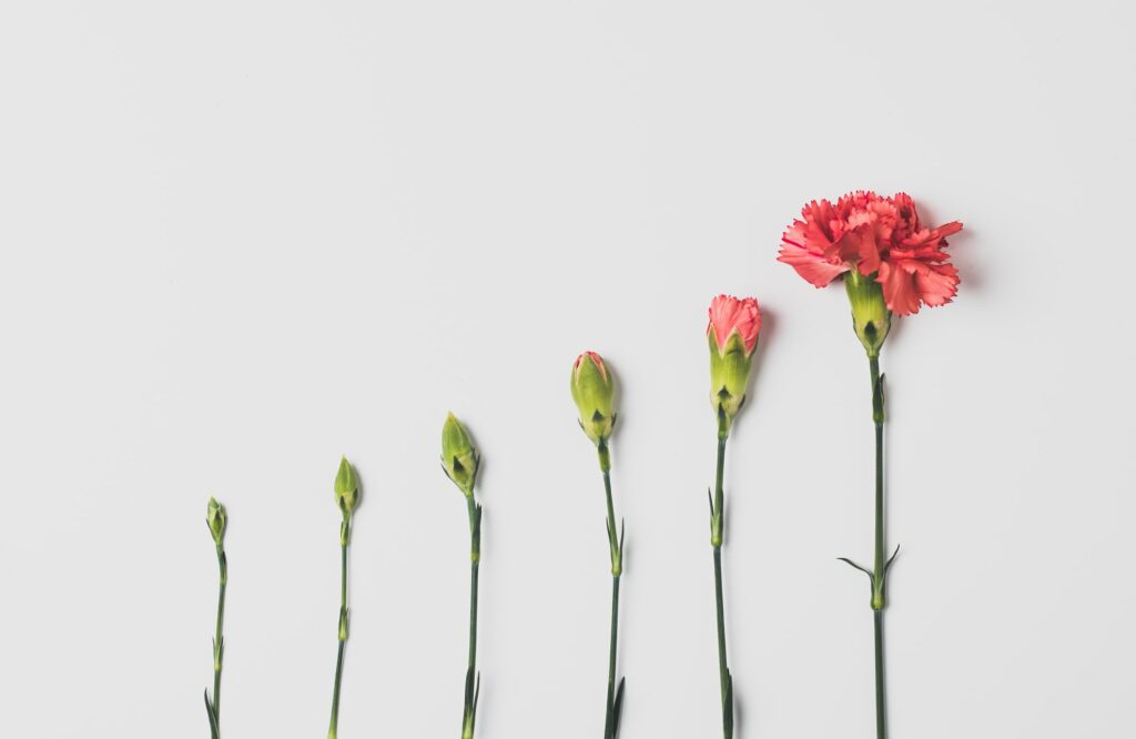 how-to-write-poetry poetry writing course