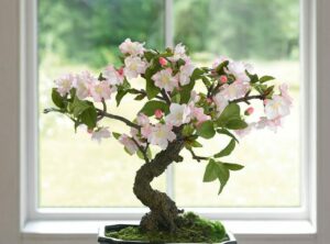 Examples of Short Poems