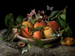 Death Riding Shotgun: How Awareness of Our Mortality Impacts Poetry