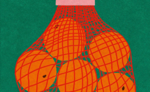 Finding Confidence in the Braided Essay: A Craft and Empowerment Workshop for Literary Nonfiction