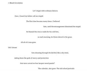line breaks in poetry: fluid dynamics by cindy tran