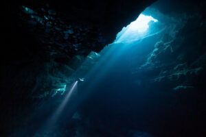 The Deep Dive: Poem As Self-Discovery