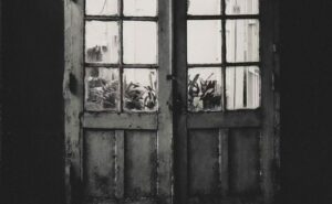 Hived Like Honey in Your Head: The Art and Craft of Writing Confessional Poetry