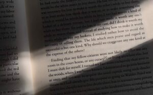 16-Week Novel Writing Intensive