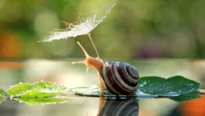 Publication-Ready Prose Poetry