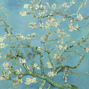 Advanced poetry workshop online writing course
