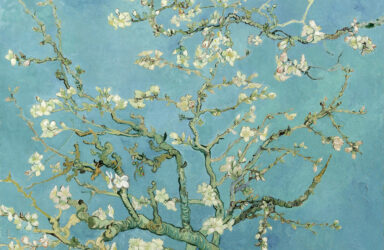 Advanced poetry workshop online writing course
