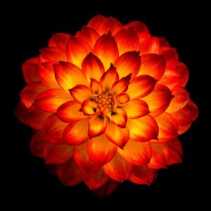 divine illumination writing sacred poetry