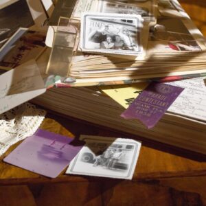 poetic memoir in mini chapters