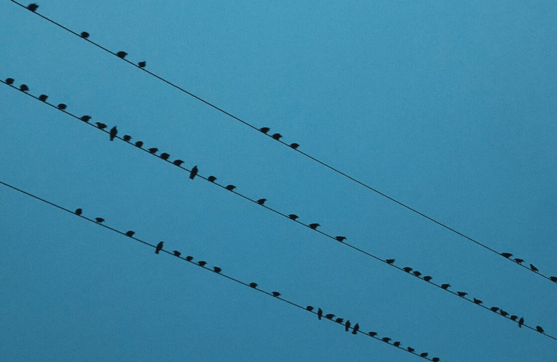 I Walk the Line: Lines, Stanzas, and the Music of Poetry writing course