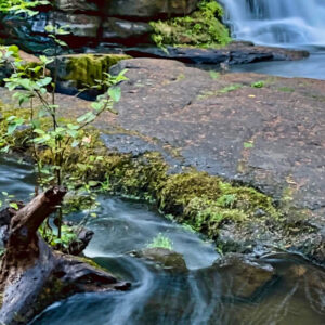 Find Your Poetic Wellspring: Writing the Poems that Matter