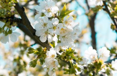 Boundaries Burnout and the Body Writing Course