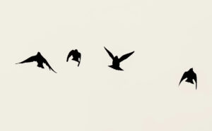 Finding Your Poetic Temperament: Unlock Your Most Powerful Poetry