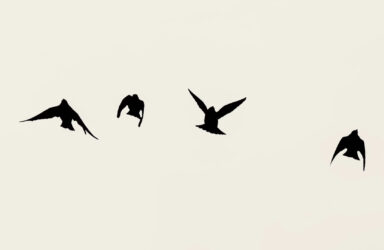 Four poetic temperaments writing course