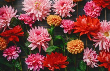 The Hybrid Memoir online writing course