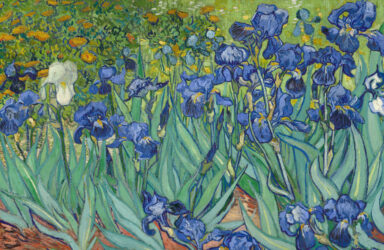 Tell it Slant poetry writing course