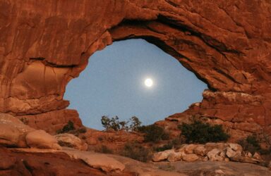 Body and Landscape: Poetry of the Inner and Outer Worlds online writing course