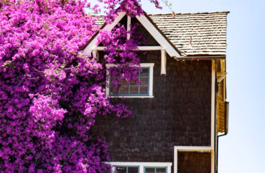 Creative Nonfiction: The Art of Telling True Stories