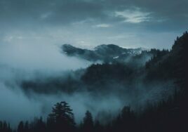 peter-lloyd-rRWyOn9gat4-unsplash what is mood in literature?